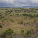 futuro-campo-golf-tres-cantos futuro-campo-golf-tres-cantos