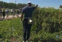 Una penalidad por dropaje incorrecto dejó K.O. a Tiger Woods en Abu Dabi (VIDEO)