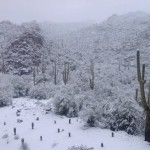 Gonzalo Fdez.-Castaño subía a su Twitter esta foto del campo completamente nevado