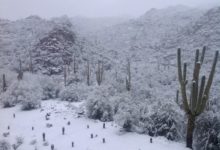 Una nevada Mundial en Arizona, en el Accenture Match Play…, en fotos