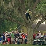 Sergio García subido a un árbol desde donde golpeó la bola en el Arnold Palmer Invit.