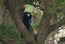 Sergio inventó el ‘Golpe Tarzán’. El de Castellón jugó la bola desde encima de un árbol