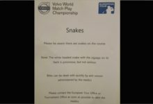 El que avisa no es traidor, serpientes en el Volvo World Match Play