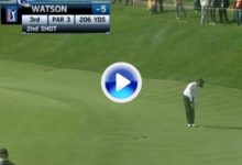 ¿Golpe rodado? Vea el de Bubba Watson considerado el golpe del día en el PGA Tour (VÍDEO)