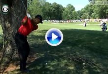Vea este increíble segundo golpe de Tiger en el AT&T National (VÍDEO)