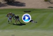 Una carrera entre ‘caddies’ divertida pero peligrosa en Scottsdale (VÍDEO)
