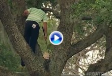 Este golpe de Sergio subido a un árbol, a lo Tarzán, todavía se recuerda en el Arnold Palmer (VÍDEO)