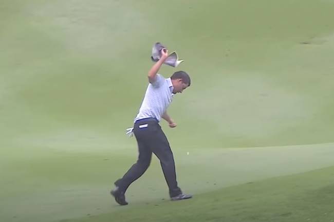 Pablo Larrazábal avispones