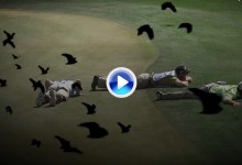 Todo tipo de pájaros declaran la guerra al PGA Tour (VÍDEO)