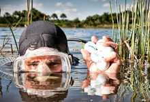 150 mil $ al año: Las pelotas de golf se convierten en el nuevo “oro blanco” para los buceadores