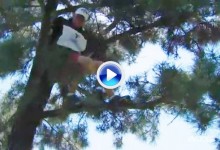 Los riesgos de ser caddie. El de Lydia Ko tuvo que subirse a un árbol para coger la bola (VÍDEO)