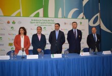 Andalucía acogerá el Open de  España Femenino 2016, que reunirá a la élite del golf europeo