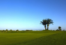 Foressos Golf y la Federación de Golf de Madrid te acercan a Valencia este verano