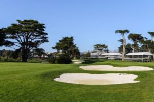 TPC Harding Park