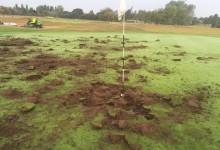 Unos vándalos arrasaron sin piedad varios greenes del Rochford Hundred Golf Club en Inglaterra