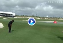 El Golf es duro: Este chip de Tiger se quedó tan corto que la bola volvió casi al mismo sitio (VÍDEO)