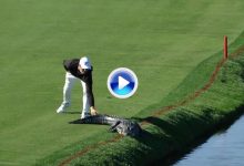 El cazador cazado. Un osado Cody Gribble asusta a uno de los caimanes en el Arnold Palmer (VÍDEO)