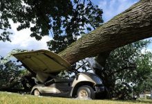 Un hombre queda atrapado en su buggie tras caerle un gran árbol encima y aplastar el vehículo