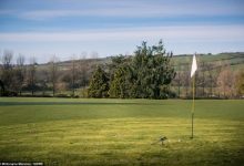 ¿Una mansión con campo de Golf de 3 hoyos por 14 dólares? Un sorteo lo hace posible en Inglaterra