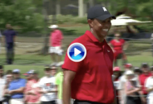 El Golf es duro… Tiger se lo tomó a risa, pero que este putt no entrara resulta alucinante (VÍDEO)