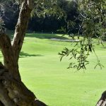 Altea Club de Golf, primavera 2018 (13)