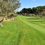 Altea Club de Golf, primavera 2018 (15)