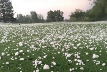 ¡Como bolas de Golf! Un campo de Colorado sufrió multitud de “piques” a causa del granizo