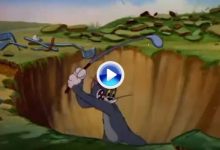 Tom tampoco pudo con Jerry en el campo de Golf. Gato y ratón protagonizan este genial corto (VÍDEO)