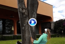 ¡Wow! La jugadora del Symetra Nicole Autrique consiguió este gran truco entre las ramas (VÍDEO)