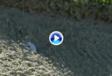 El Golf es duro… Tiger se llevó del hoyo 18 un amargo recuerdo en forma de “huevo frito” (VÍDEO)