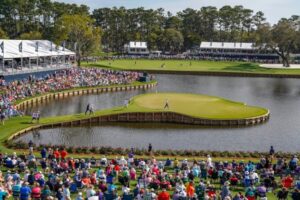 TPC Sawgrass 17 Hole,