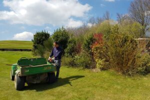 Izki Golf arreglo campo