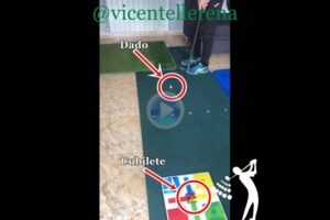 Vicente Llerena Parchis