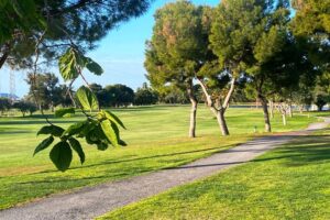 Bonalba Golf