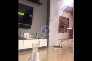 Vicente Cordero secador