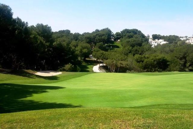 Se retrasan las elecciones a la Federación de Golf de ...