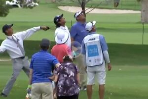 Arbitro zapato bola Andrade