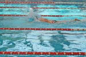 Diputacion Alicante subvenciones