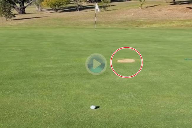 Terreno en reparación en green