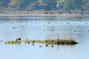 Turismo de Andalucia, Doñana,