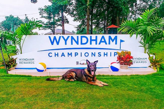 Wyndham Championship cartel