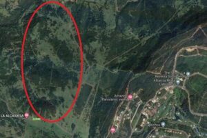 Finca Rockefeller Sotogrande