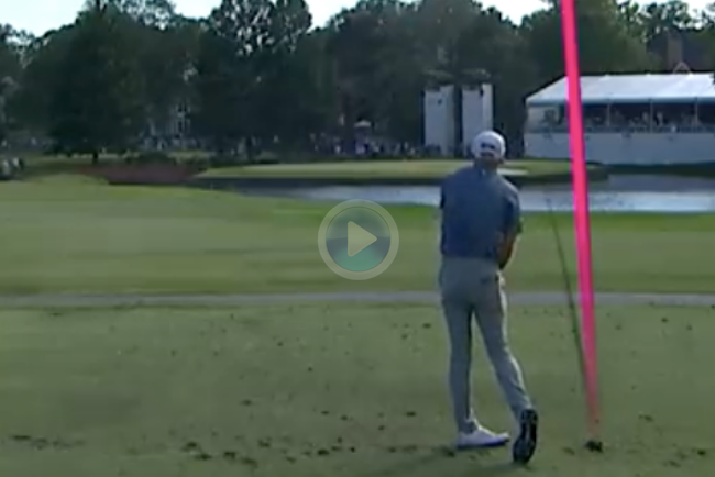 PGA Tour, FedEx St Jude Championship 22 j4, Videos de Golf, Will Zalatoris,