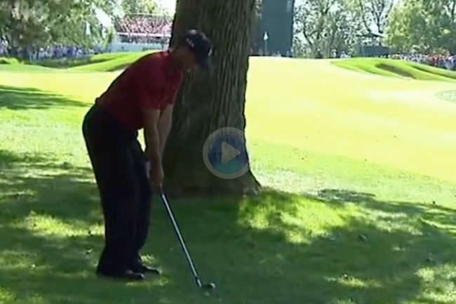 PGA Tour, Tiger Woods, Videos de Golf, BMW Championship, Birdie,