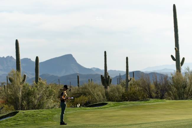 Saguaros en Marana, LIV Golf League Tucson,