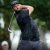 PGA Tour, DPWT, LIV, Masters de Augusta 23 j2, Augusta National, Jon Rahm,