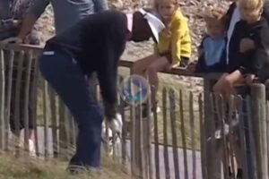 Vijay Singh, Senior Open, Vídeos de Golf,