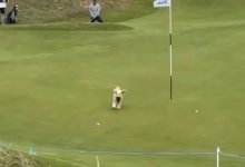 Un perro le roba la bola a Gareth Bale cuando la tenía en el green en la tercera jornada del Dunhill