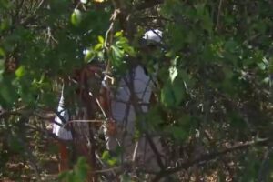 Nedbank Golf Challenge, DP World Tour, Vídeos de Golf, Gary Player CC,