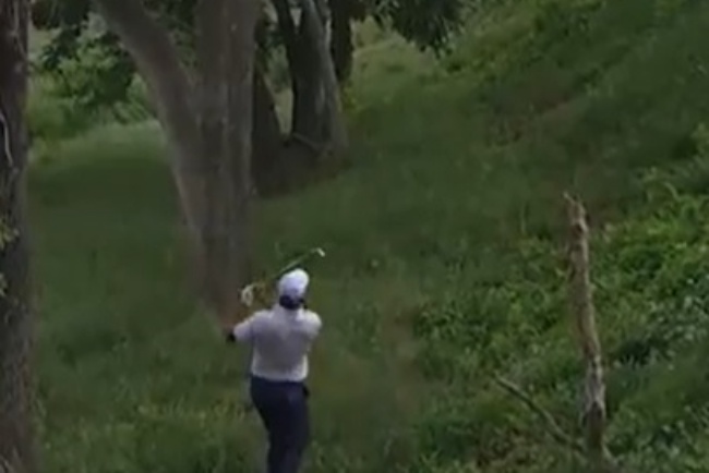 PGA Tour, Charles Schwab Challenge 25 Top 5, Colonial CC, Scottie Scheffler, Videos de Golf,